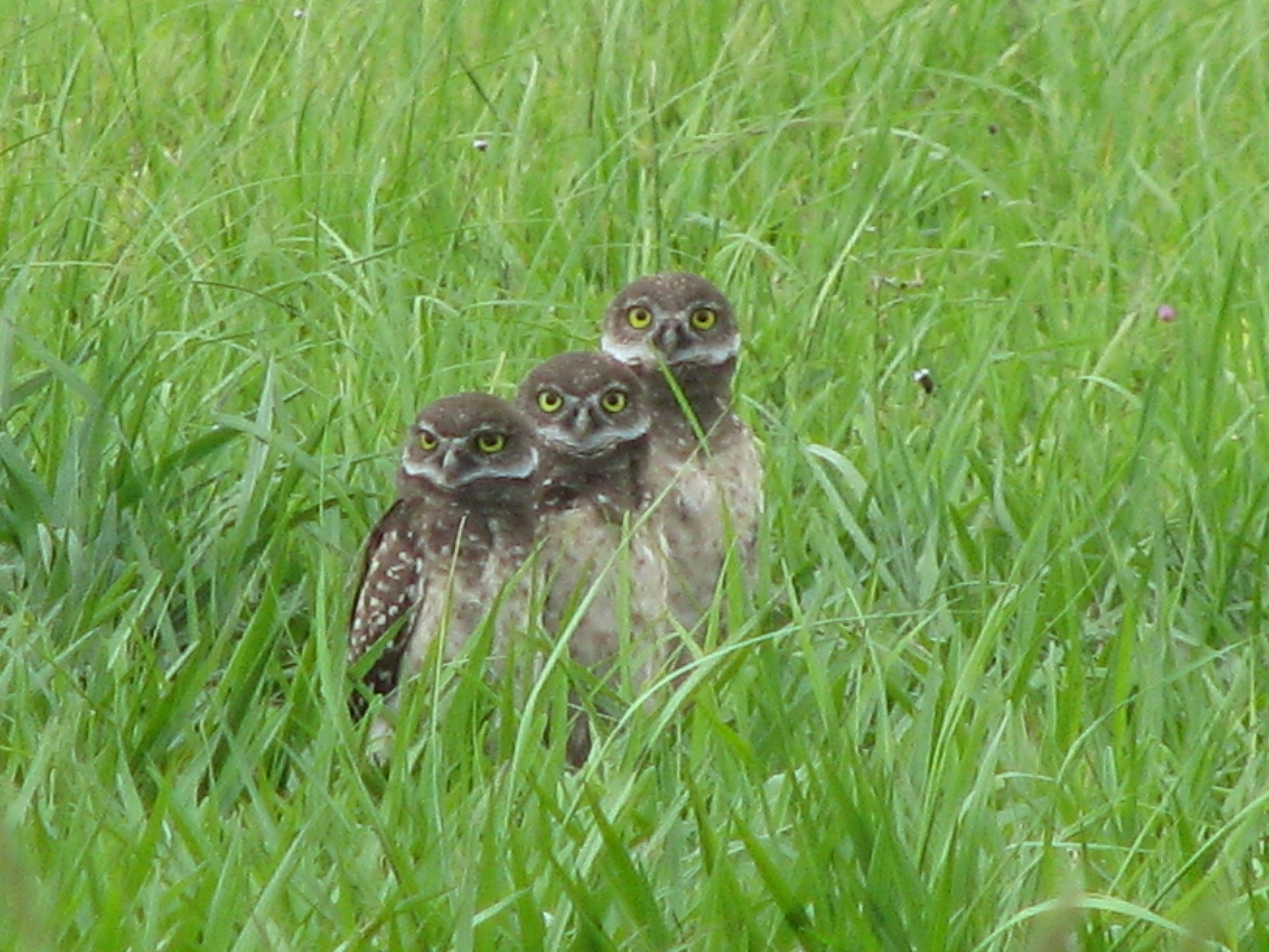 15b2d42a-5c60-4709-ac6c-adb9a5e50bce